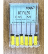 RT Files N20 31MM 