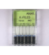 K Files N06 21MM