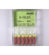 K Files N06 25MM 