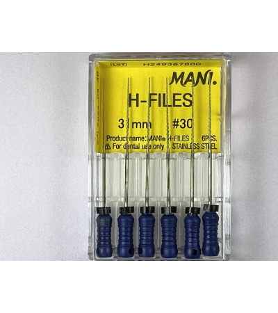 H Files N30 31MM 