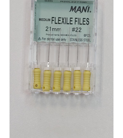 Medium Flexile Files N22 21MM 