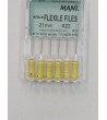 Medium Flexile Files N22 21MM 